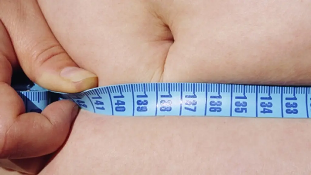 Imagen Identifican una proteína que mejora el control de obesidad y enfermedades cardiovasculares