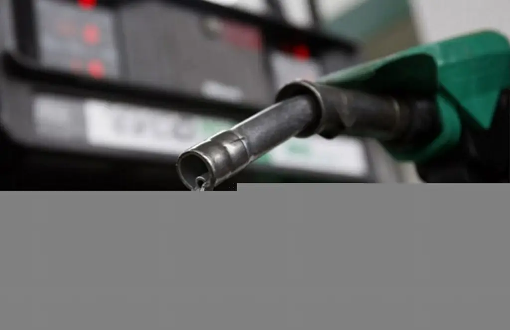Imagen Subsidio a la gasolina se reactivará si el precio del petróleo sigue al alza: Sheinbaum