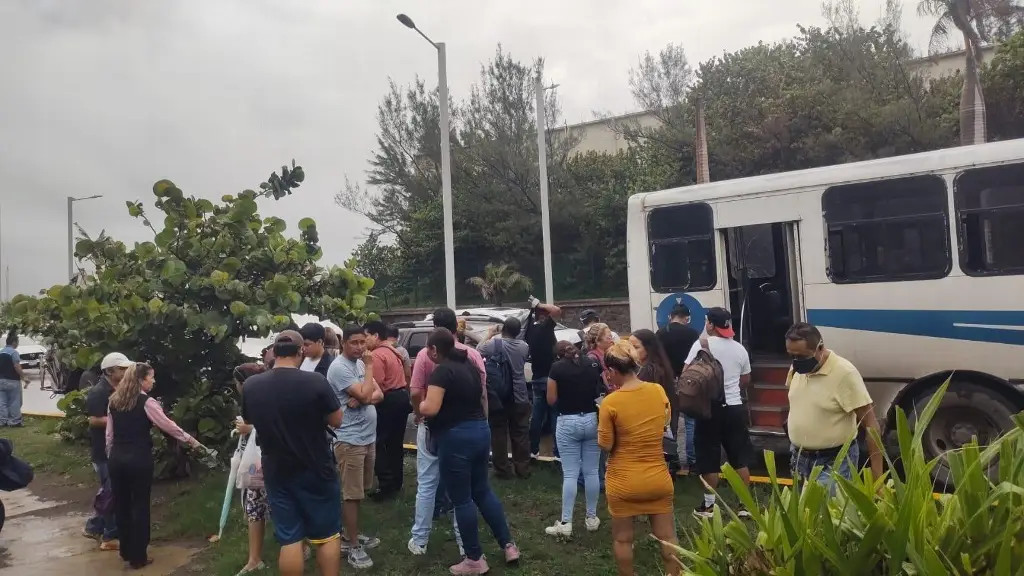 Imagen Camión da 'frenón' y provoca choque múltiple en bulevar Fidel Velázquez, en Veracruz