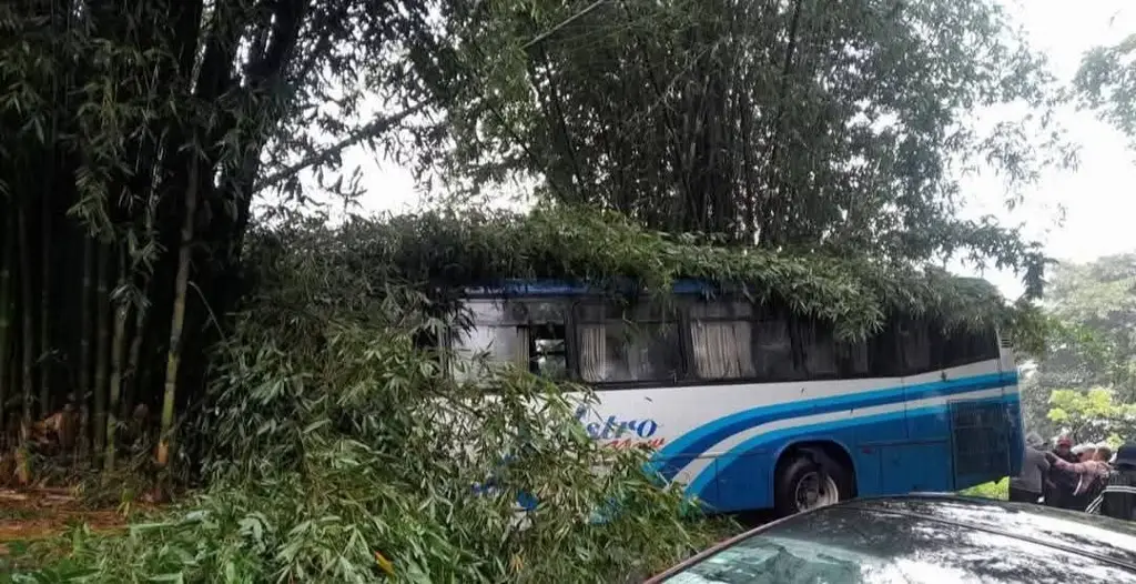 Imagen Autobús de pasajeros estuvo a punto de caer a un barranco en la carretera Fortín-Conejos