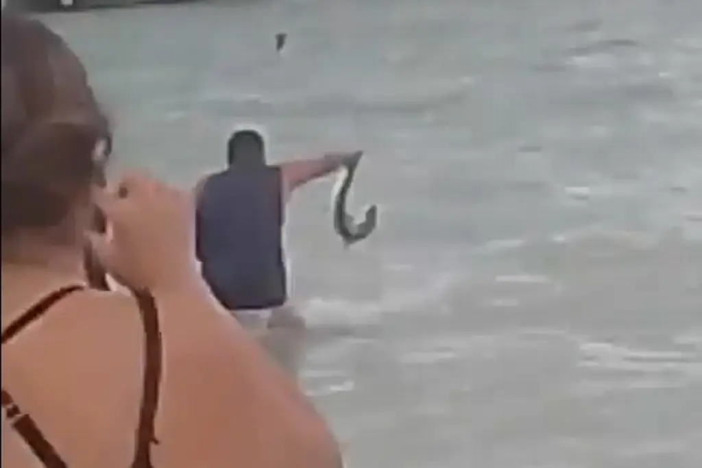 Imagen Indigna al sacar del mar a cría de tiburón martillo, en peligro de extinción (+Video)