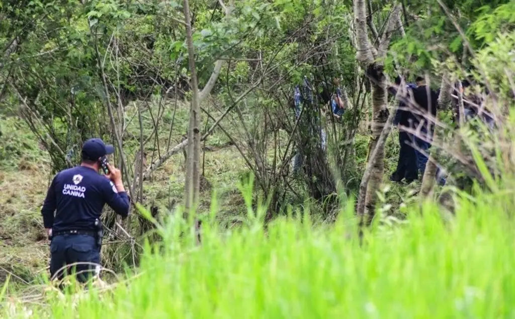 Imagen Nadie tenía conocimiento: colectivo de búsqueda sobre hallazgos de cuerpos en Xalapa