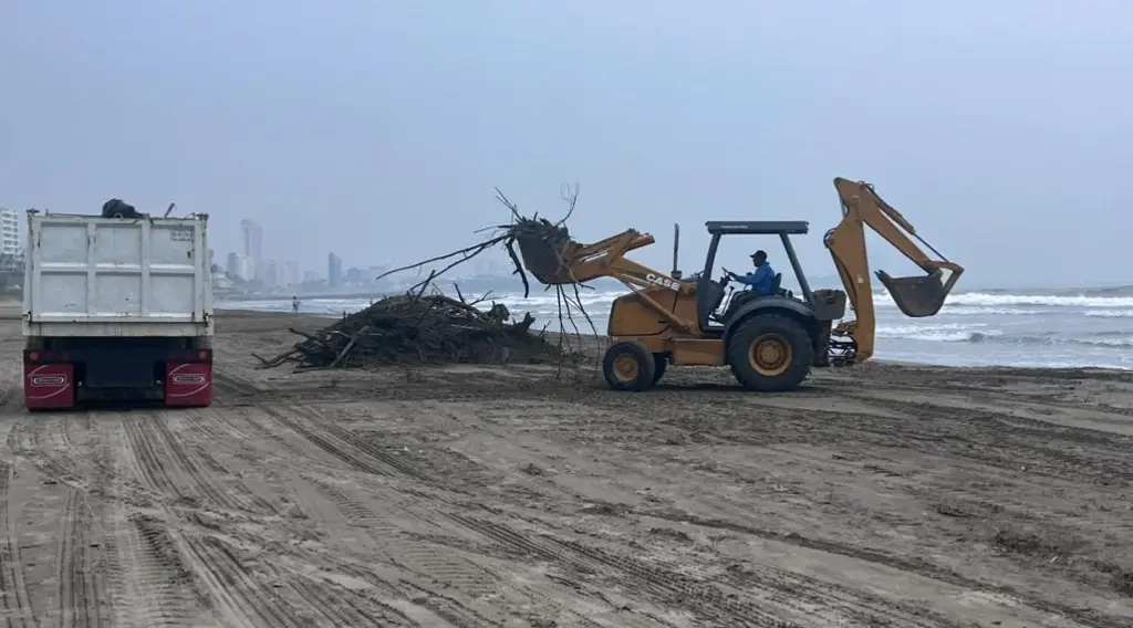 Imagen Realizan limpieza de playas por palizada en Boca del Río 