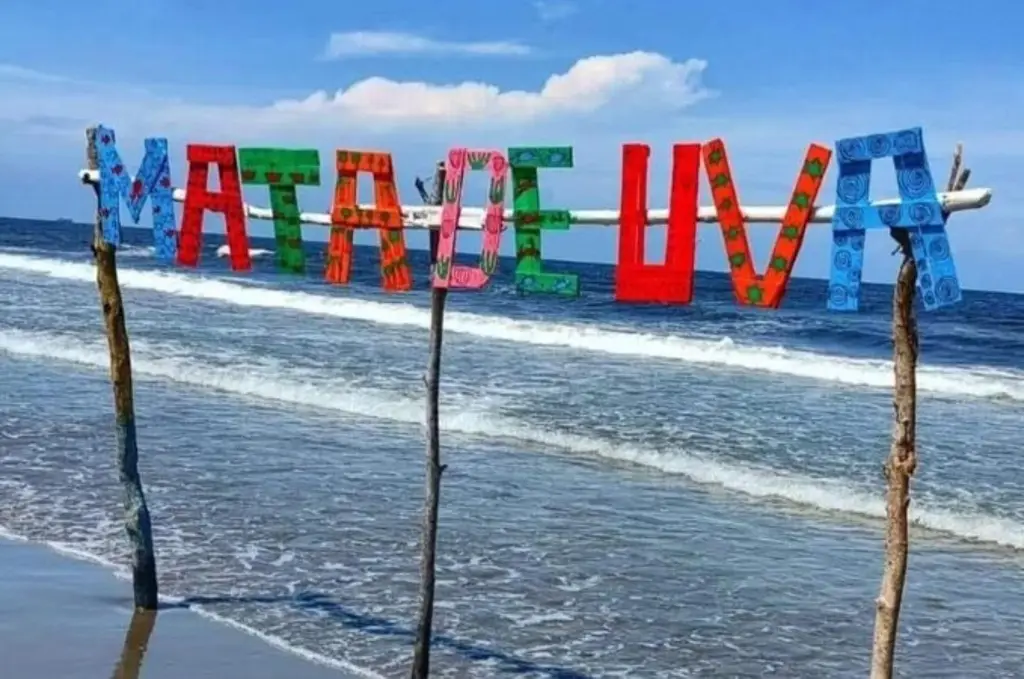 Imagen Se torna en tragedia una tarde familiar en playa Mata de Uva, en Alvarado