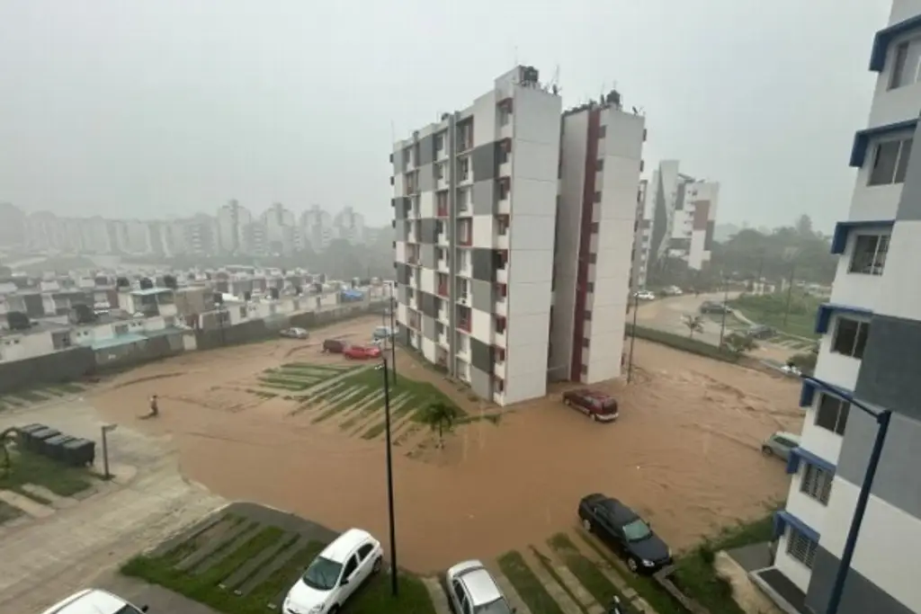 Imagen Deslaves, árboles caídos y autos dañados dejan varios días de lluvia en Xalapa