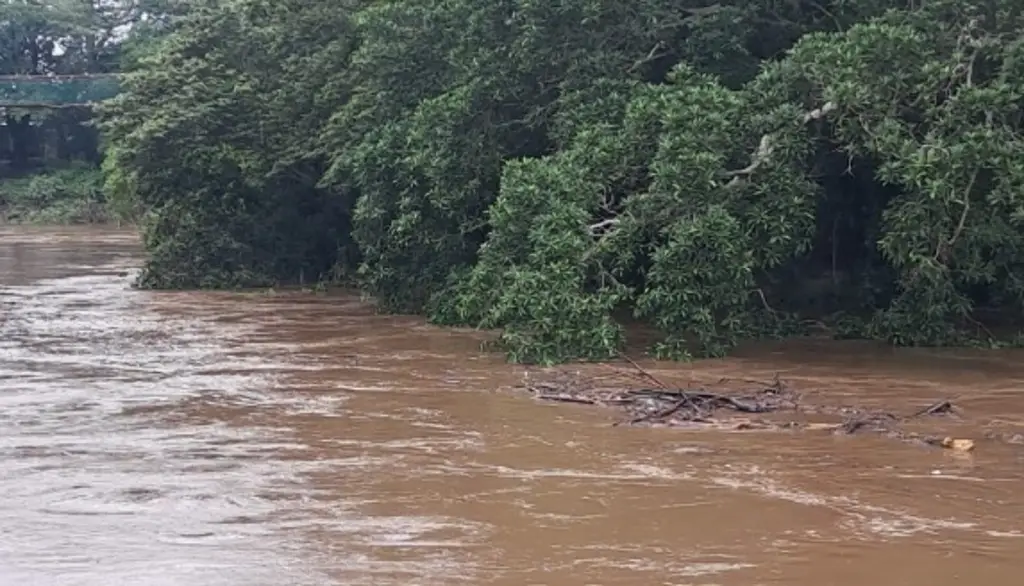 Imagen Desbordamiento de arroyo en Jamapa no representa peligro: alcalde