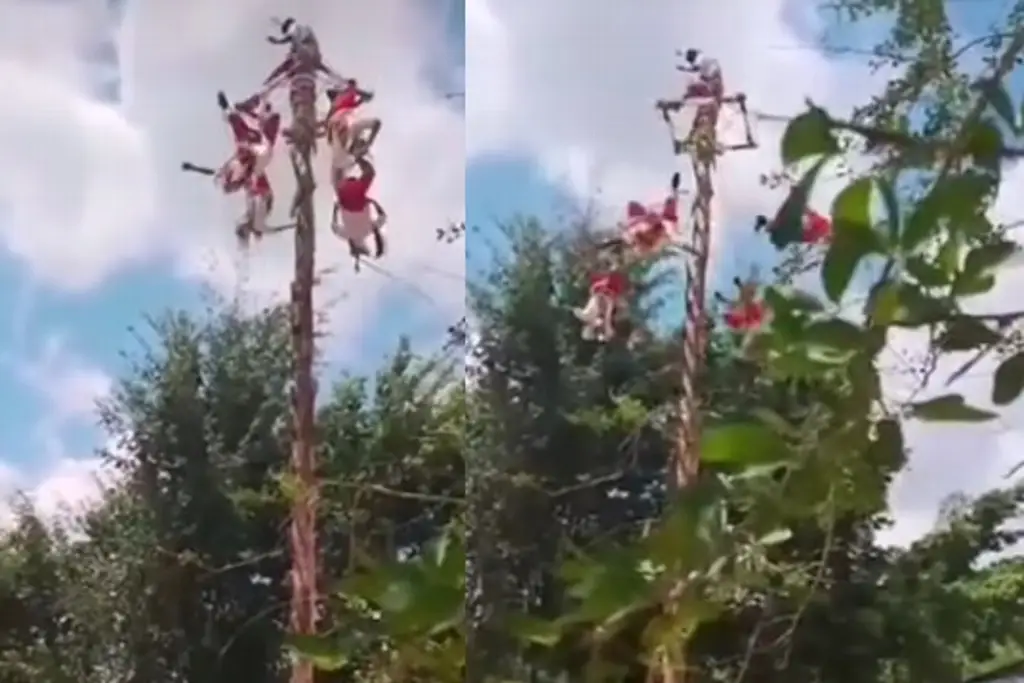 Imagen Caen voladores de Papantla durante danza al norte de Veracruz (+video)