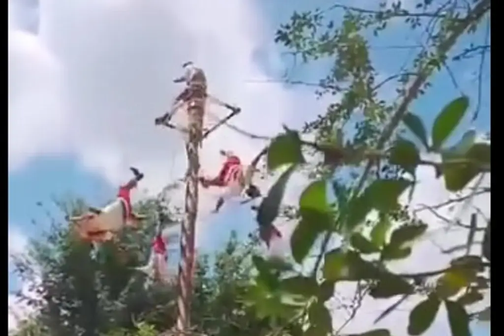 Imagen Rocío Nahle informa sobre el estado de salud de los 5 voladores de Papantla accidentados 