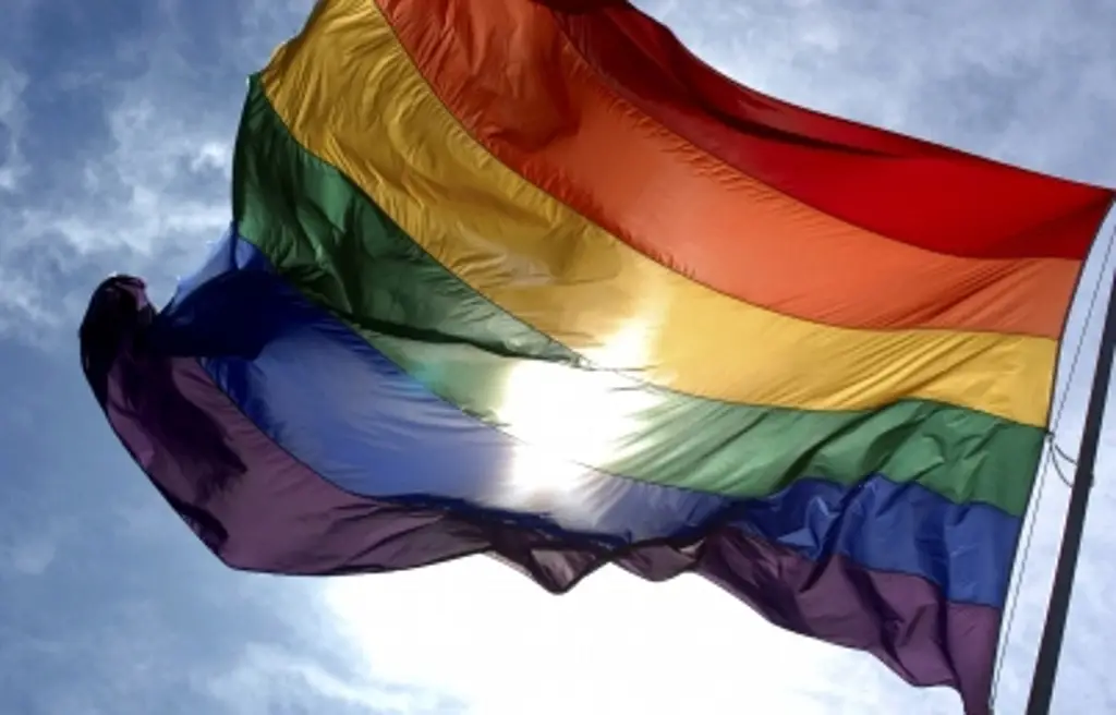 Imagen ¿Cuáles son y qué significan las banderas de la comunidad LGBTIQ+?
