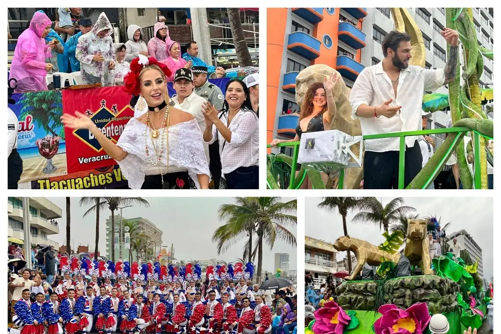 Imagen Ni la tormenta tropical Barry detuvo el segundo desfile de Carnaval de Veracruz