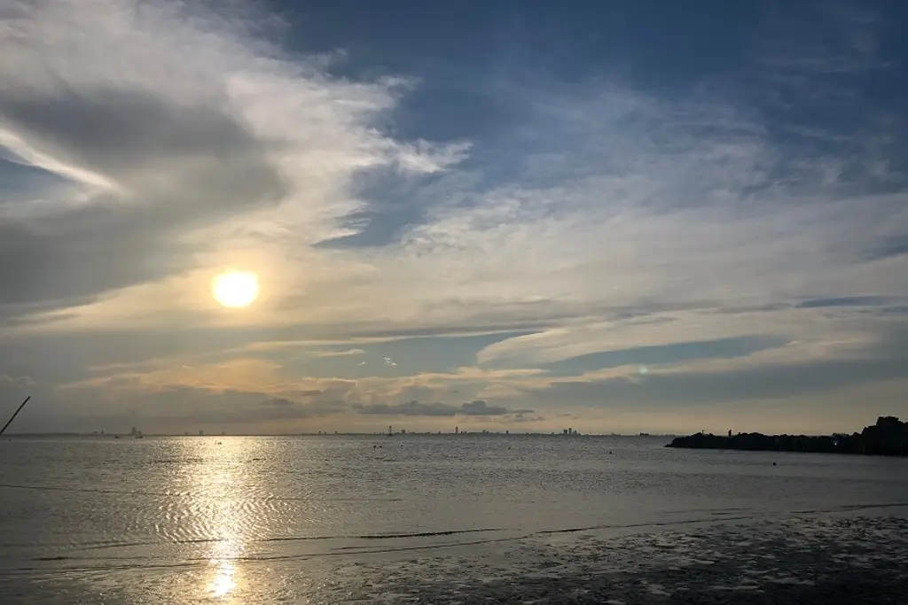 Imagen ¿Seguirán las lluvias en Veracruz? Este es el pronóstico del tiempo 