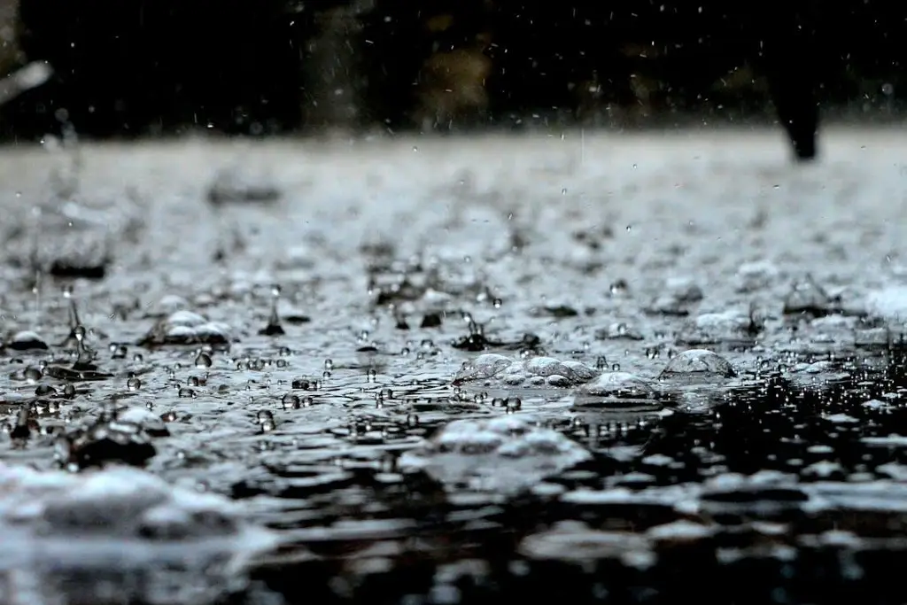 Imagen 'Barry' ya es baja remanente; dejará lluvias al norte de Veracruz 
