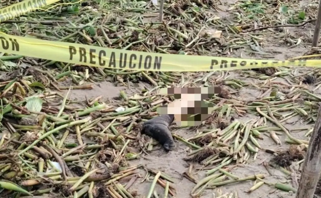 Imagen Macabro hallazgo flotando cerca del puente de Alvarado 