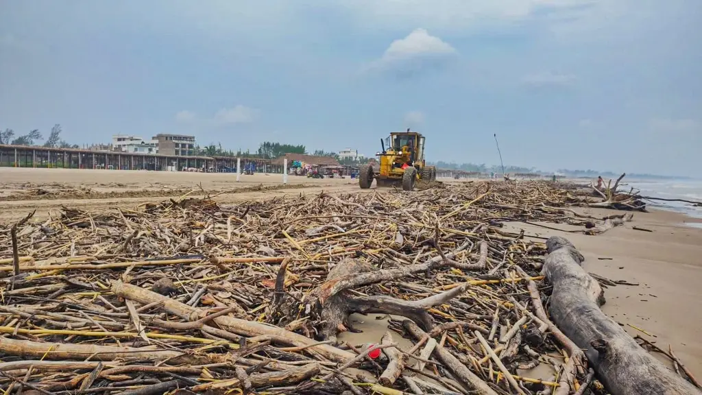 Imagen Lluvias dejan palizada en playas de Tuxpan en Veracruz 