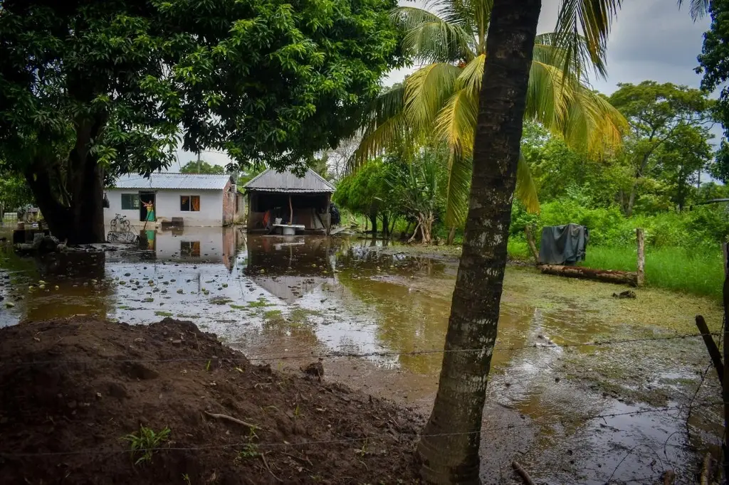 Imagen Varias viviendas inundadas por río desbordado 