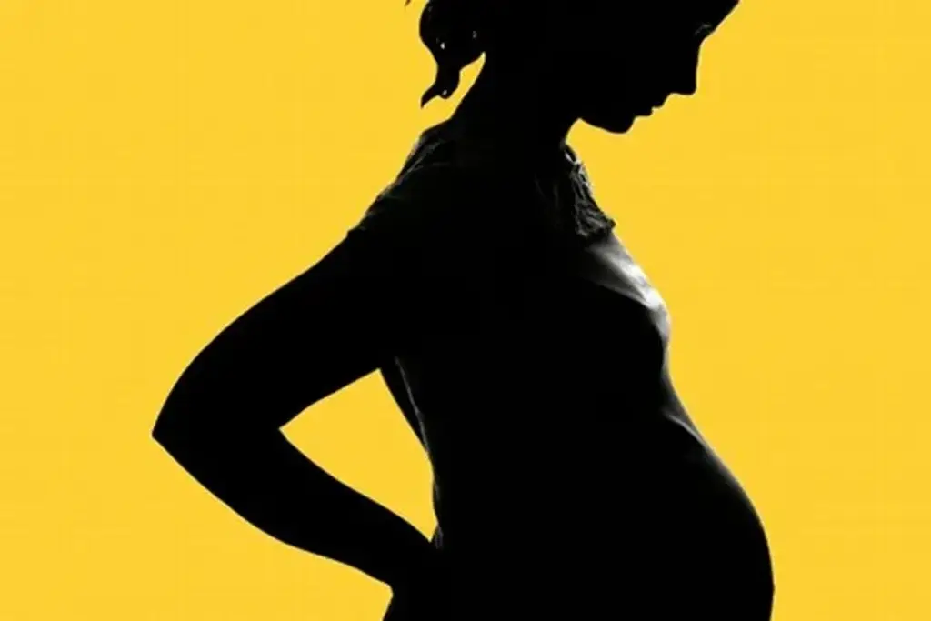 Imagen Veracruz no alcanzará meta 2030 para erradicar embarazo infantil, reconocen autoridades