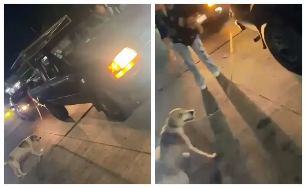 Imagen Sujeto arrastra con camioneta a perrito en Boca del Río, Veracruz (+Video)