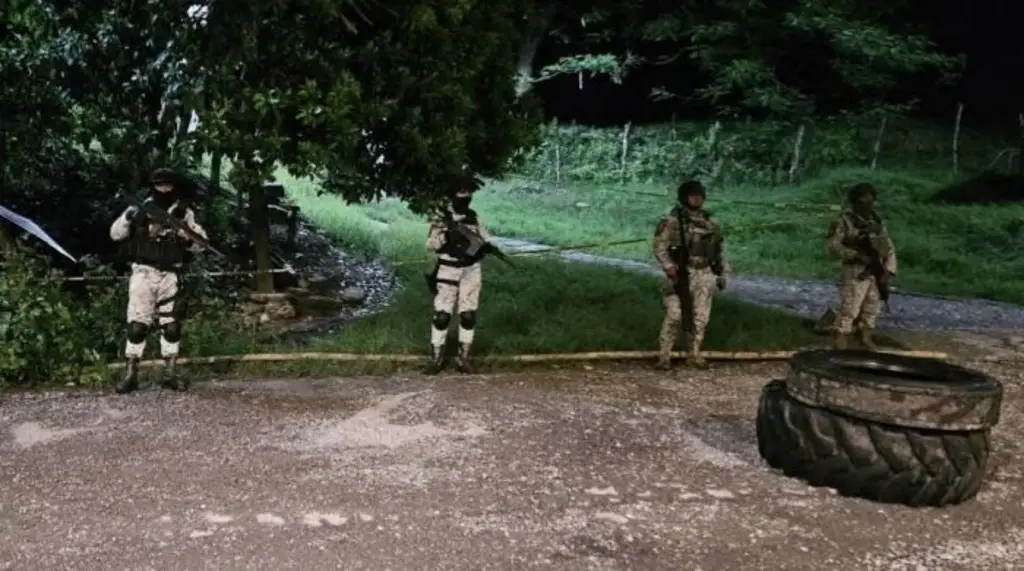 Imagen Detectan dron con aparato explosivo al norte de Veracruz 
