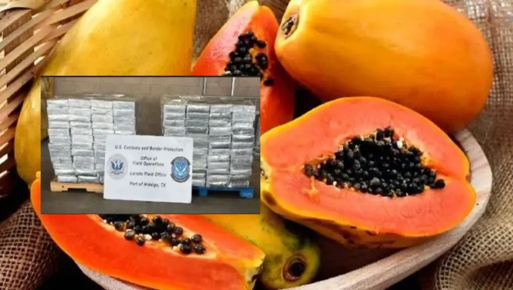 Imagen Encuentran más de 23 mdd en metanfetamina en cargamento de papaya en frontera EU - México