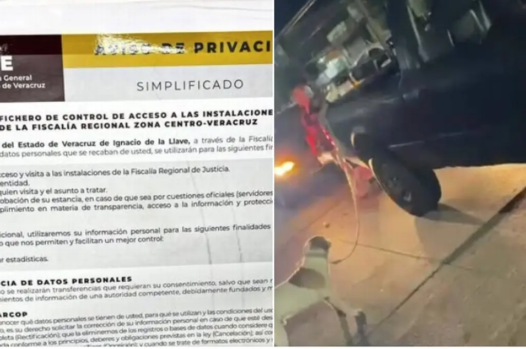 Imagen Denuncian ante FGE caso de perrito que fue arrastrado por camioneta en Boca