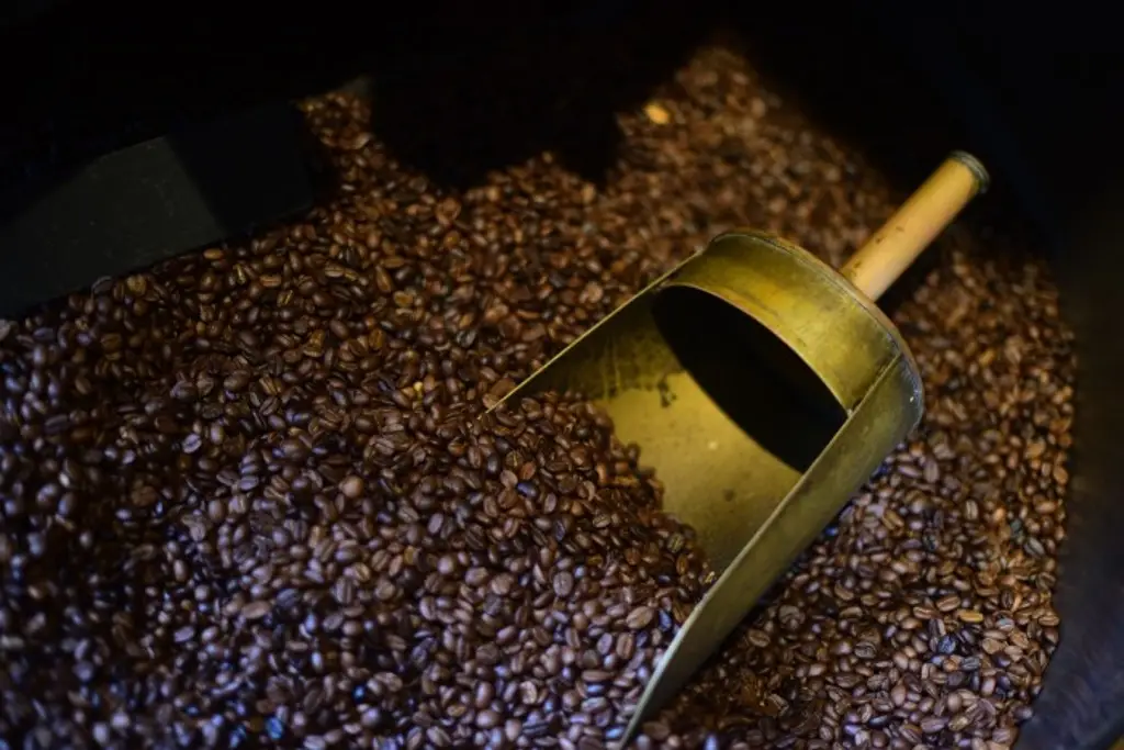 Imagen Tras anunciar sanciones contra Brasil, aumenta 3% el precio del café en EU 