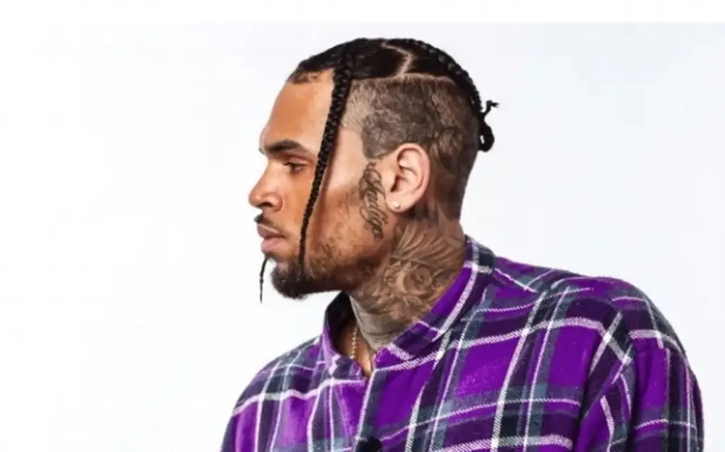 Imagen Chris Brown se declara no culpable de nuevos cargos por atacar con una botella