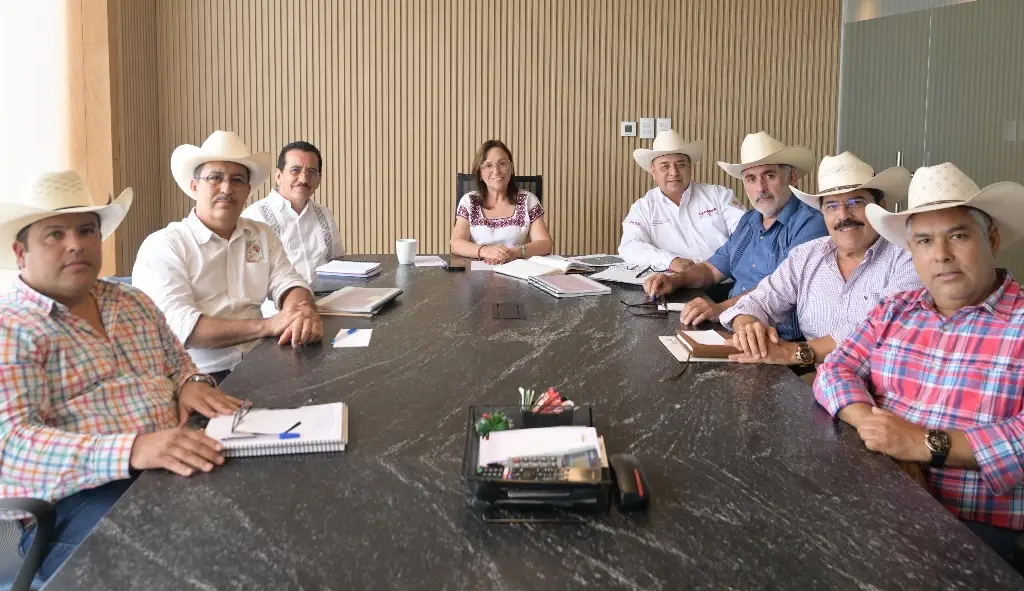 Imagen Tras caso de gusano barrenador en Veracruz, Rocío Nahle intensifica vigilancia en ganado