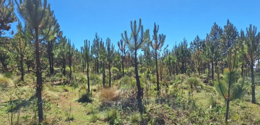 Imagen Acceso al agua debe dejar de ser preocupación y convertirse en prioridad: SEDEMA