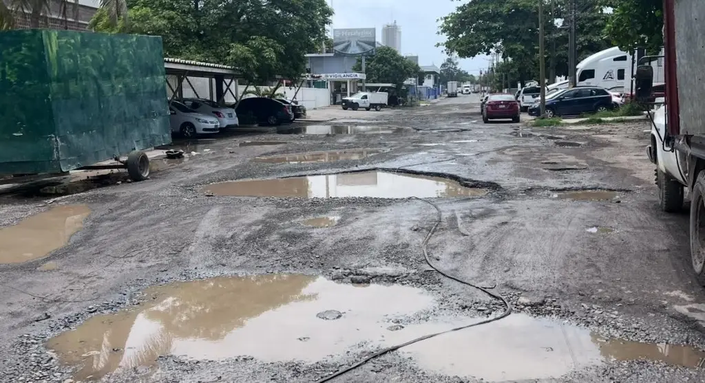 Imagen En condiciones deplorables se encuentra las calles en ciudad industrial Bruno Plagiai