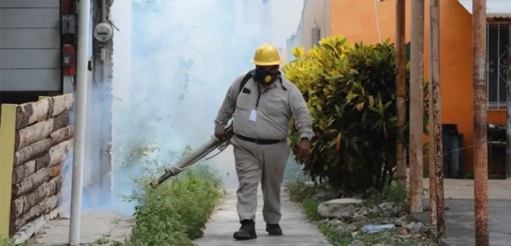 Imagen Activan estrategia conjunta para contener contagios del dengue en Veracruz: Sesver