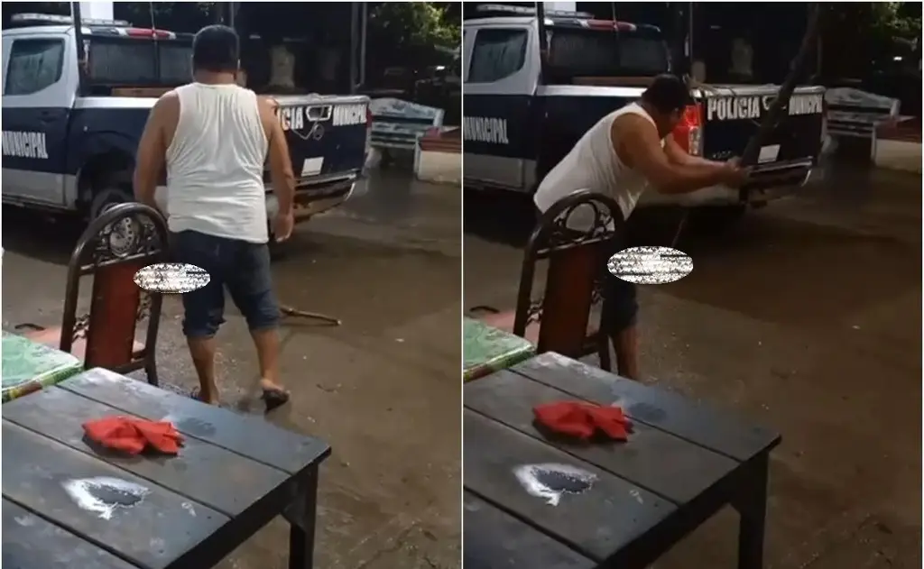 Imagen Policía golpea a perrito con un palo hasta matarlo en Oaxaca; fue destituido (+Video)