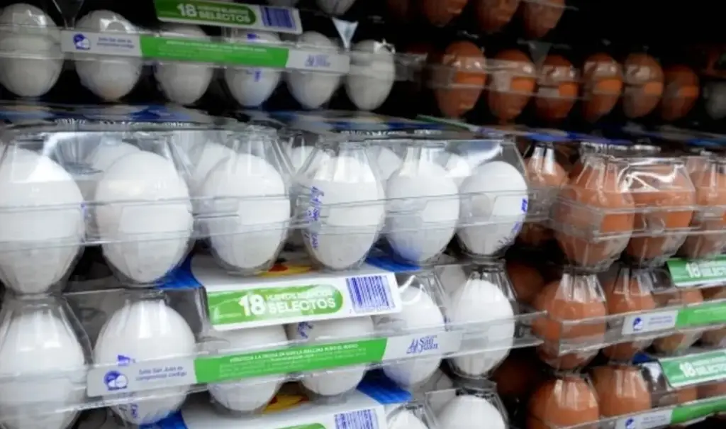 Imagen Ha ido a la alza precios de productos de la canasta básica en México: ANPEC 