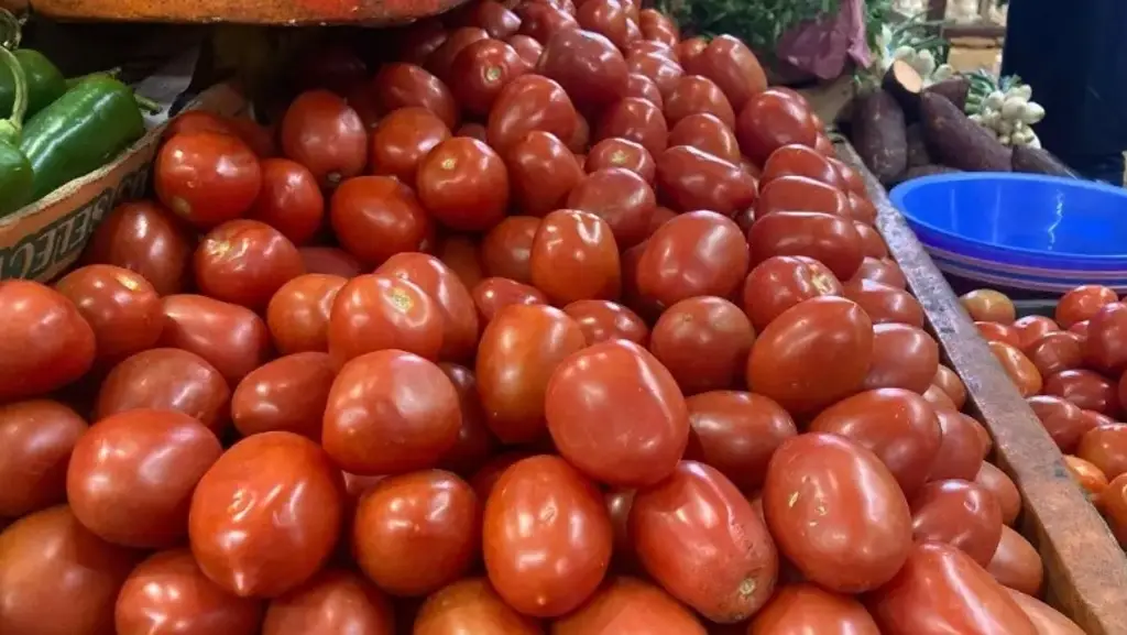 Imagen Prevén que precio del tomate caiga hasta un 20% tras imposición de arancel 