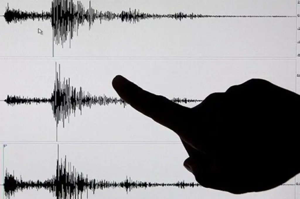 Imagen Celulares Android emuestran su eficacia para alertar de los terremotos, según estudio 