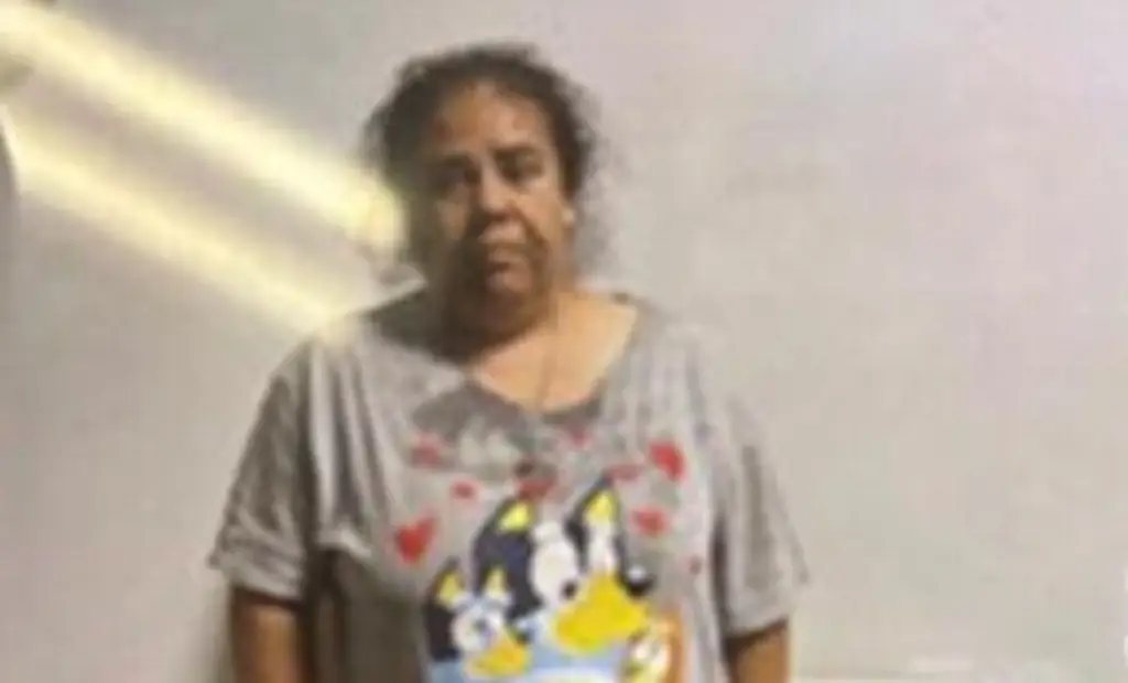 Imagen Acusan a mujer de orquestar falso secuestro de autoridades migratorias en EU y pedir donaciones