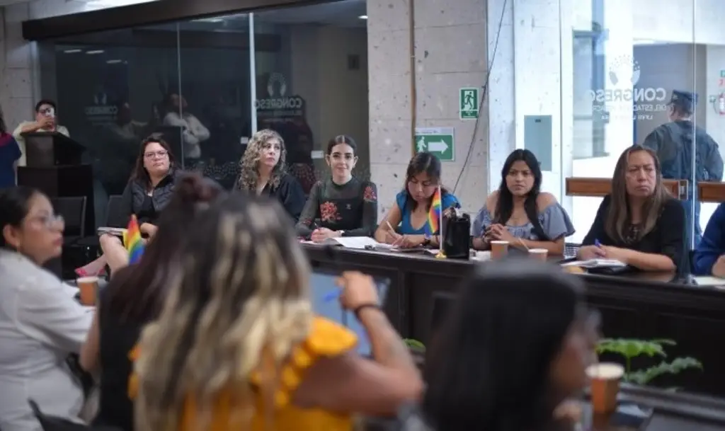Imagen Diputadas analizan propuesta a favor de la comunidad de la diversidad sexual