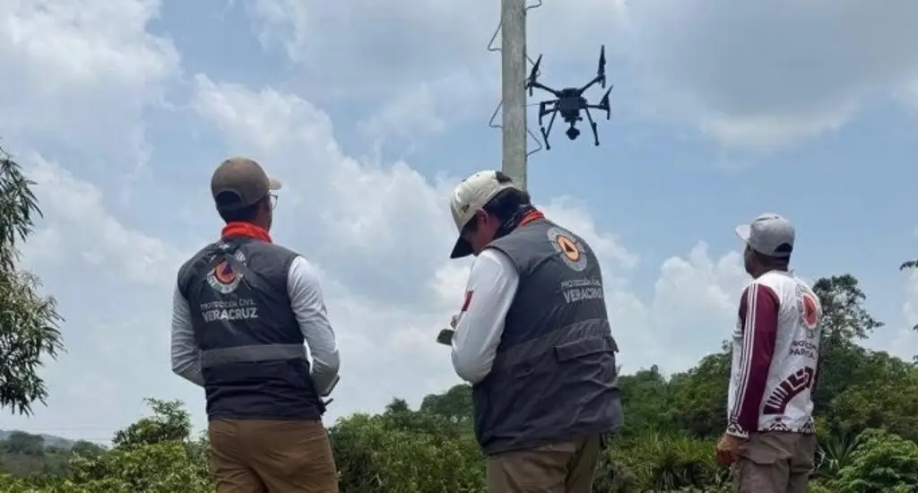 Imagen Revisan condiciones de palos para ritual de los voladores en Papantla