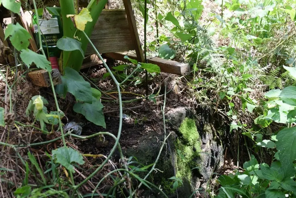Imagen Macuiltépetl: zona arqueológica olvidada en el corazón de Xalapa, Veracruz