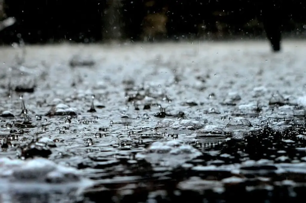 Imagen Prevén aumento de la probabilidad de lluvias esta semana en Veracruz; checa los días