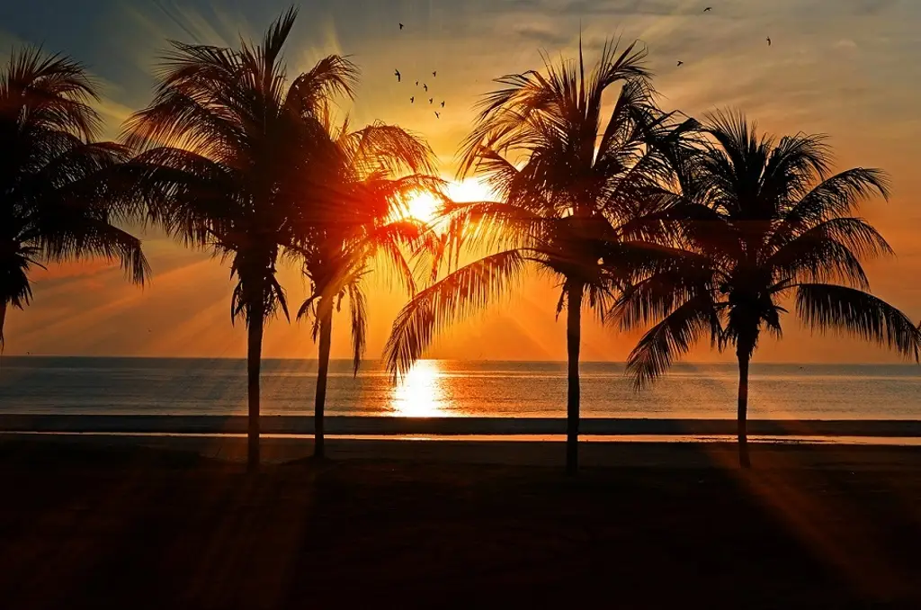 Imagen Ambiente caluroso en Veracruz, este es el pronóstico del tiempo 