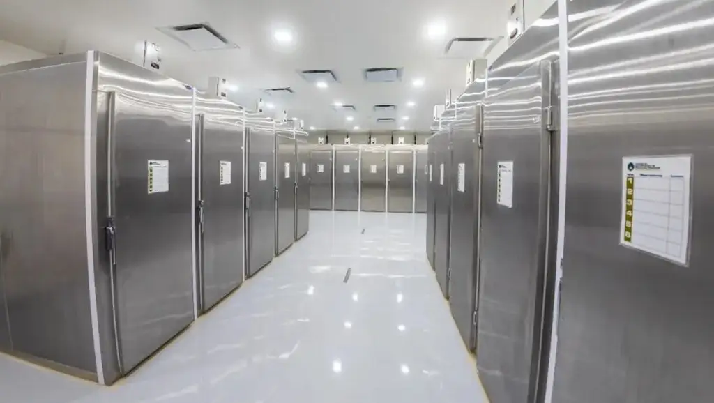 Imagen Más de mil cuerpos en refrigeradores, en espera de ser identificados en Guanajuato
