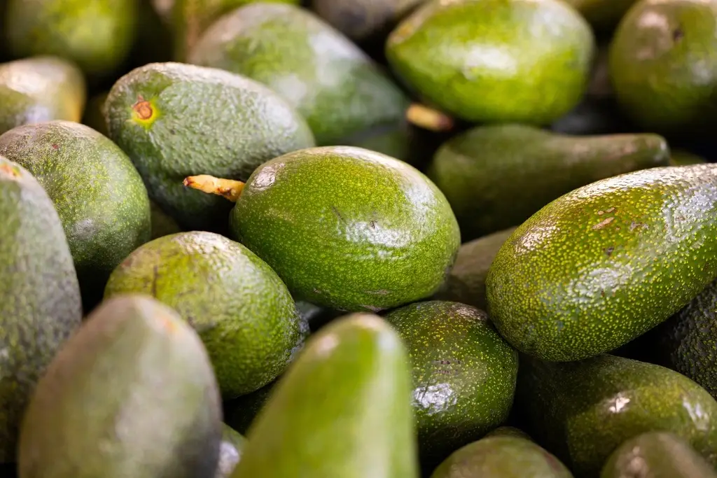 Imagen Brasil abre la puerta a la importación de aguacate mexicano