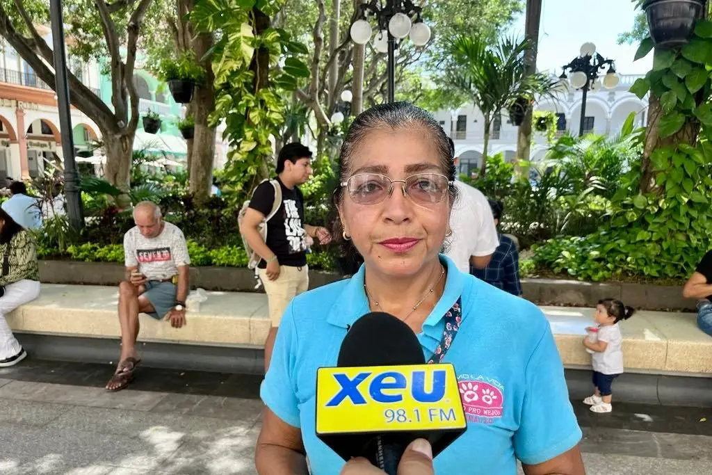 Imagen Rescatan a Nemo en Veracruz, un salchicha en el abandono pese a tener dueños; está desnutrido