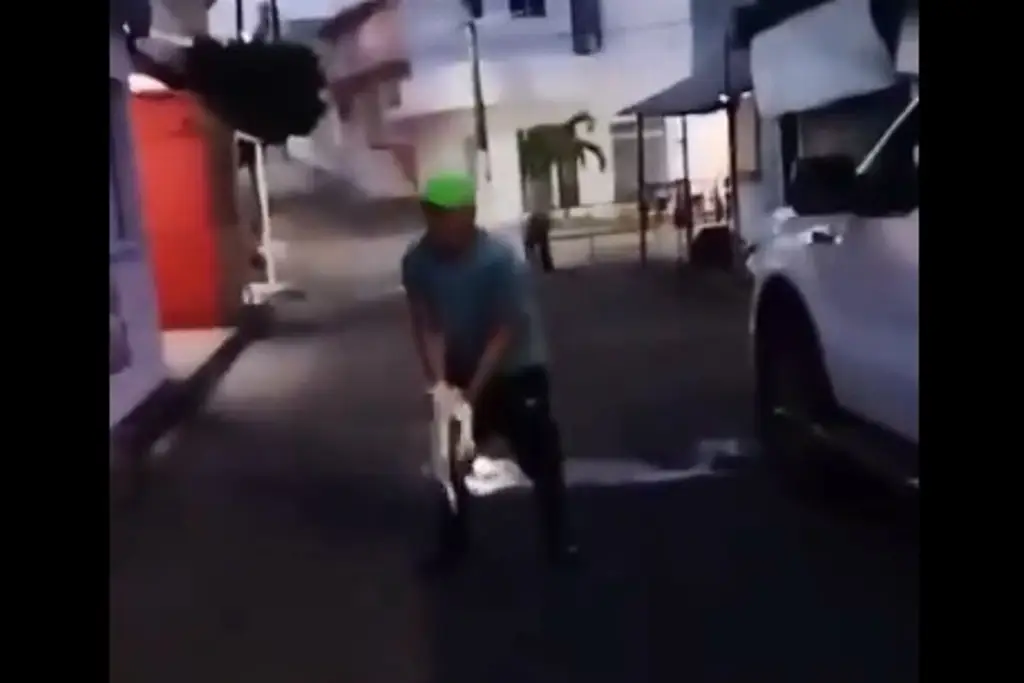 Imagen Sujeto avienta al aire a gata recién operada en Alvarado, Veracruz; exigen justicia (+Video)