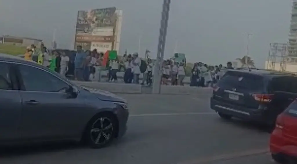 Imagen Marchan contra el maltrato animal en Boca del Río 