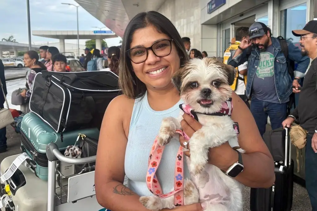 Imagen  ¿Cómo es viajar con un perro en avión y qué requisitos cumplir?  