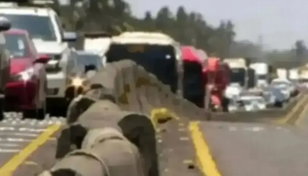 Imagen Se registra cierre parcial de circulación en carretera de Veracruz 