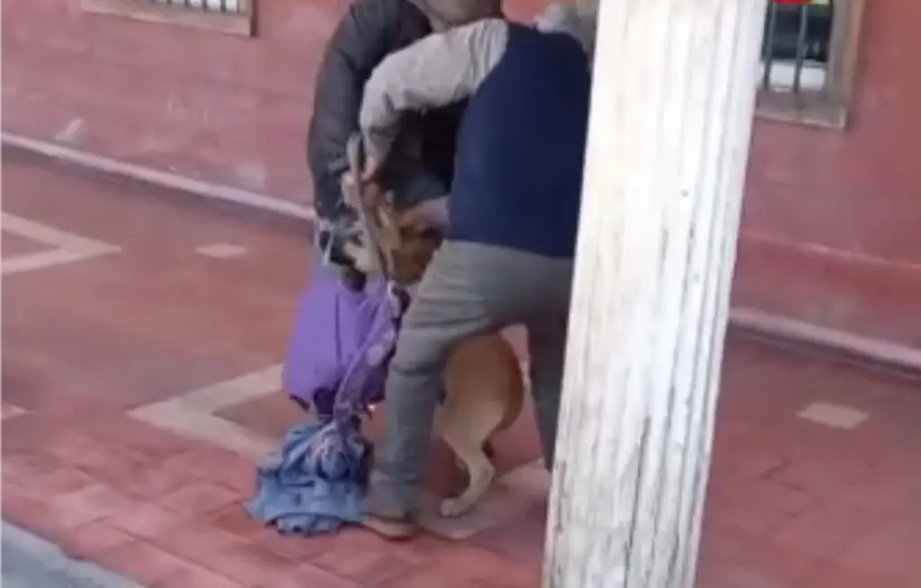 Imagen Lo llaman el héroe sin capa: hoy tiene a un mejor amigo y un delincuente está preso