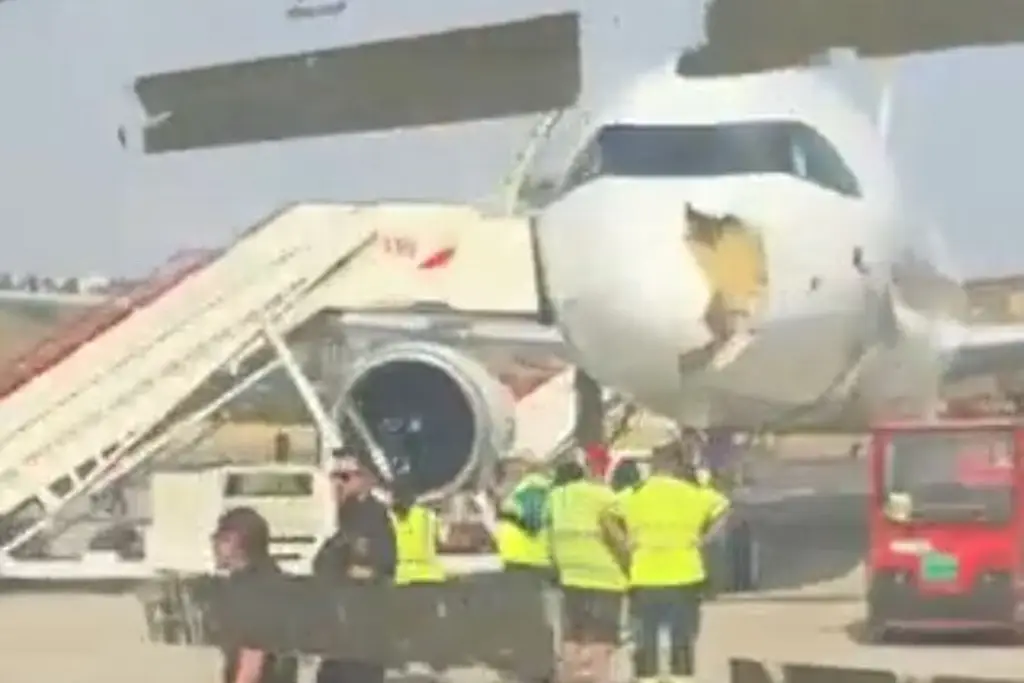 Imagen Avión aterriza de emergencia tras chocar con un buitre en Madrid (+Video)