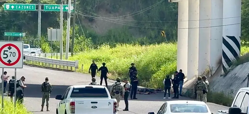 Imagen Fiscalía investiga hallazgo de restos humanos en Papantla, Veracruz